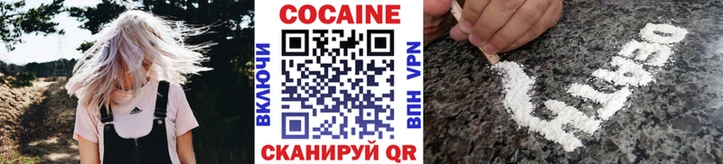 COCAIN Эквадор  Купить закладки  Судогда 